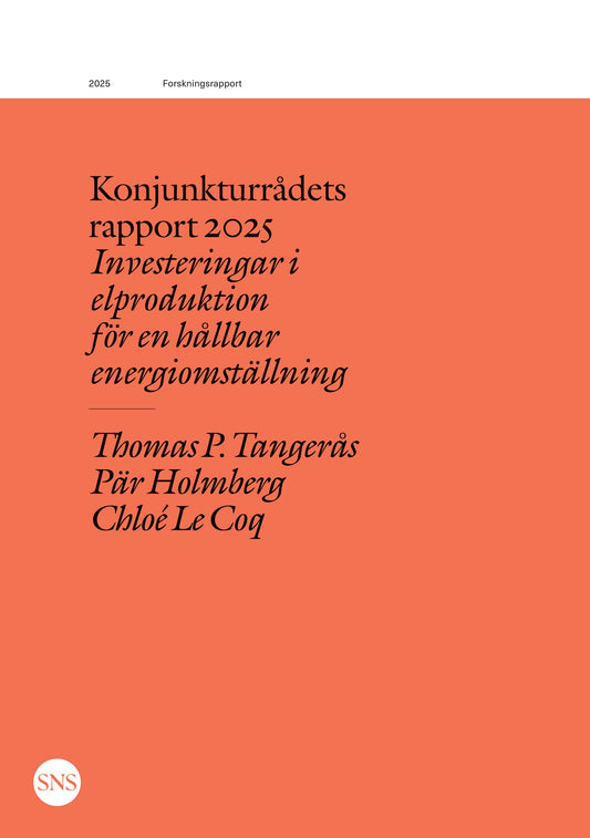 Konjunkturrådets rapport 2025: Investeringar i elproduktion för en hållbar energiomställning – E-bok