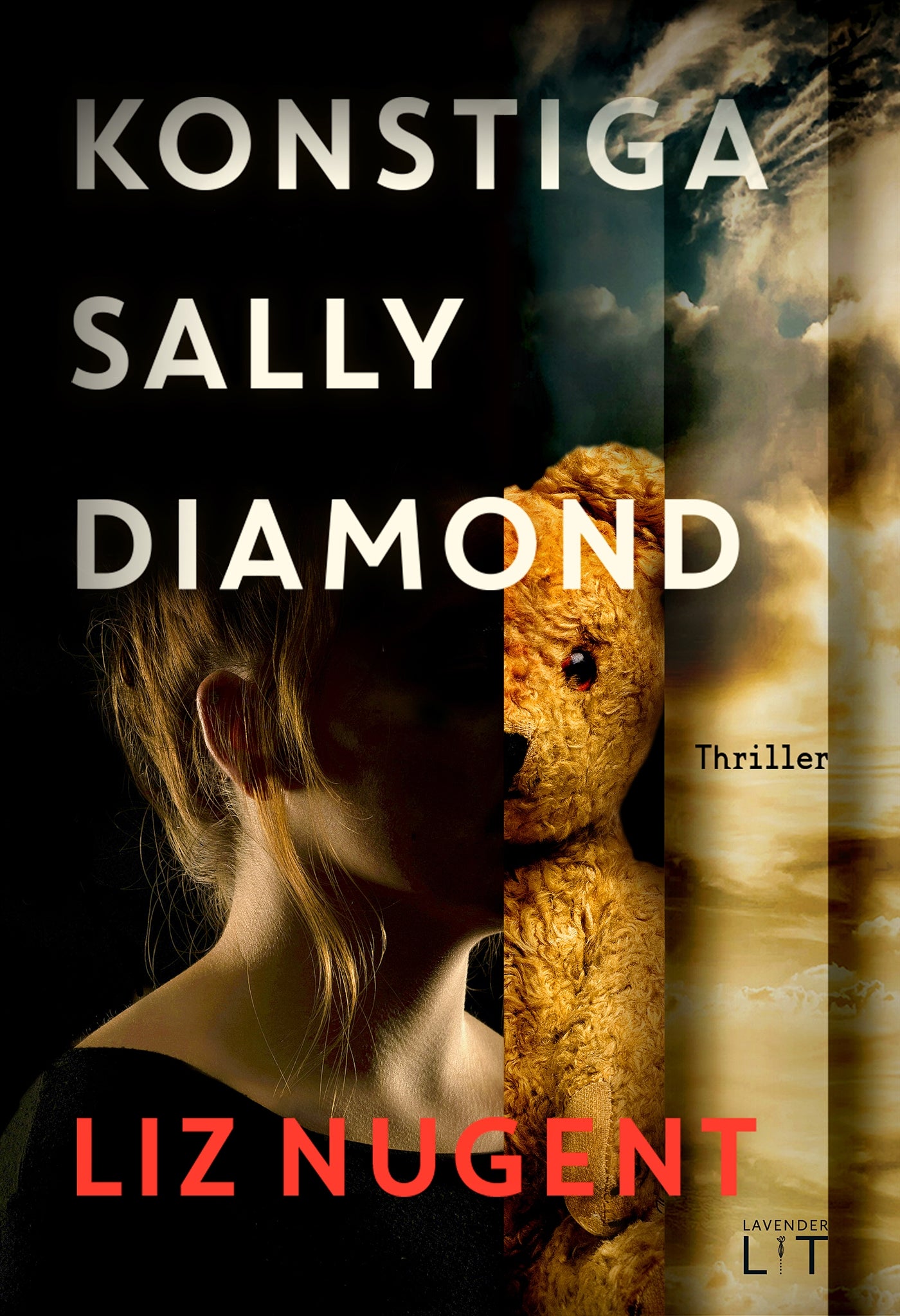 Konstiga Sally Diamond – E-bok