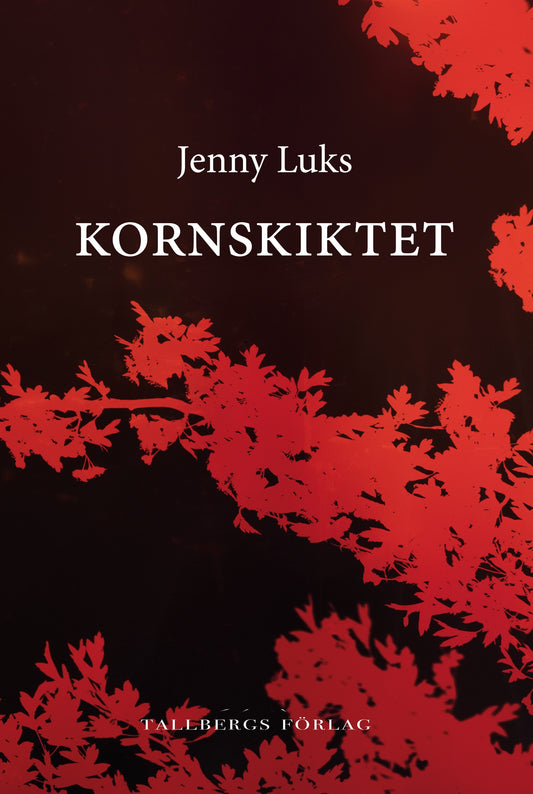 Kornskiktet – E-bok