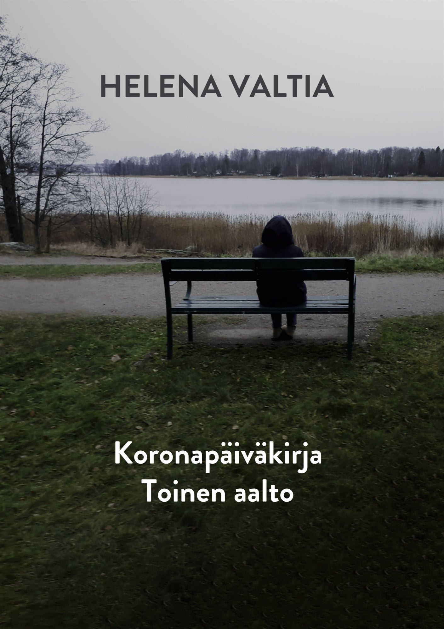Koronapäiväkirja Toinen Aalto – E-bok