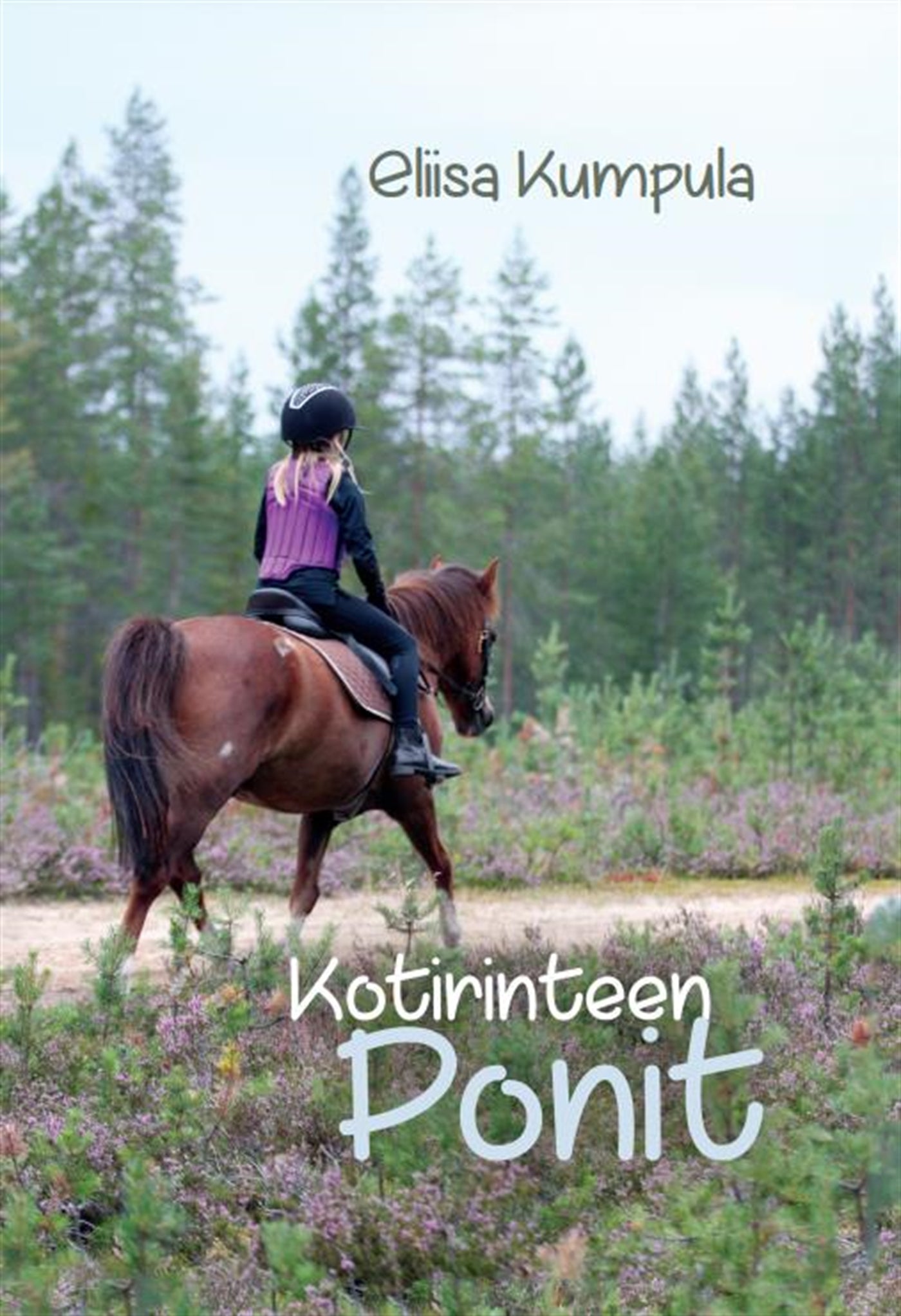 Kotirinteen ponit   – E-bok