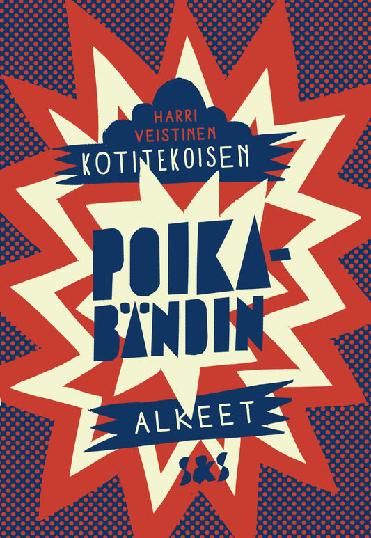 Kotitekoisen poikabändin alkeet – E-bok