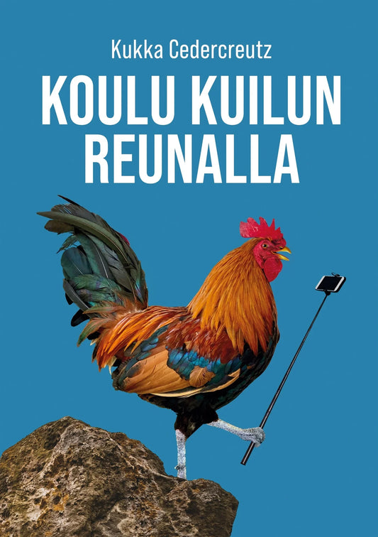 Koulu kuilun reunalla – E-bok