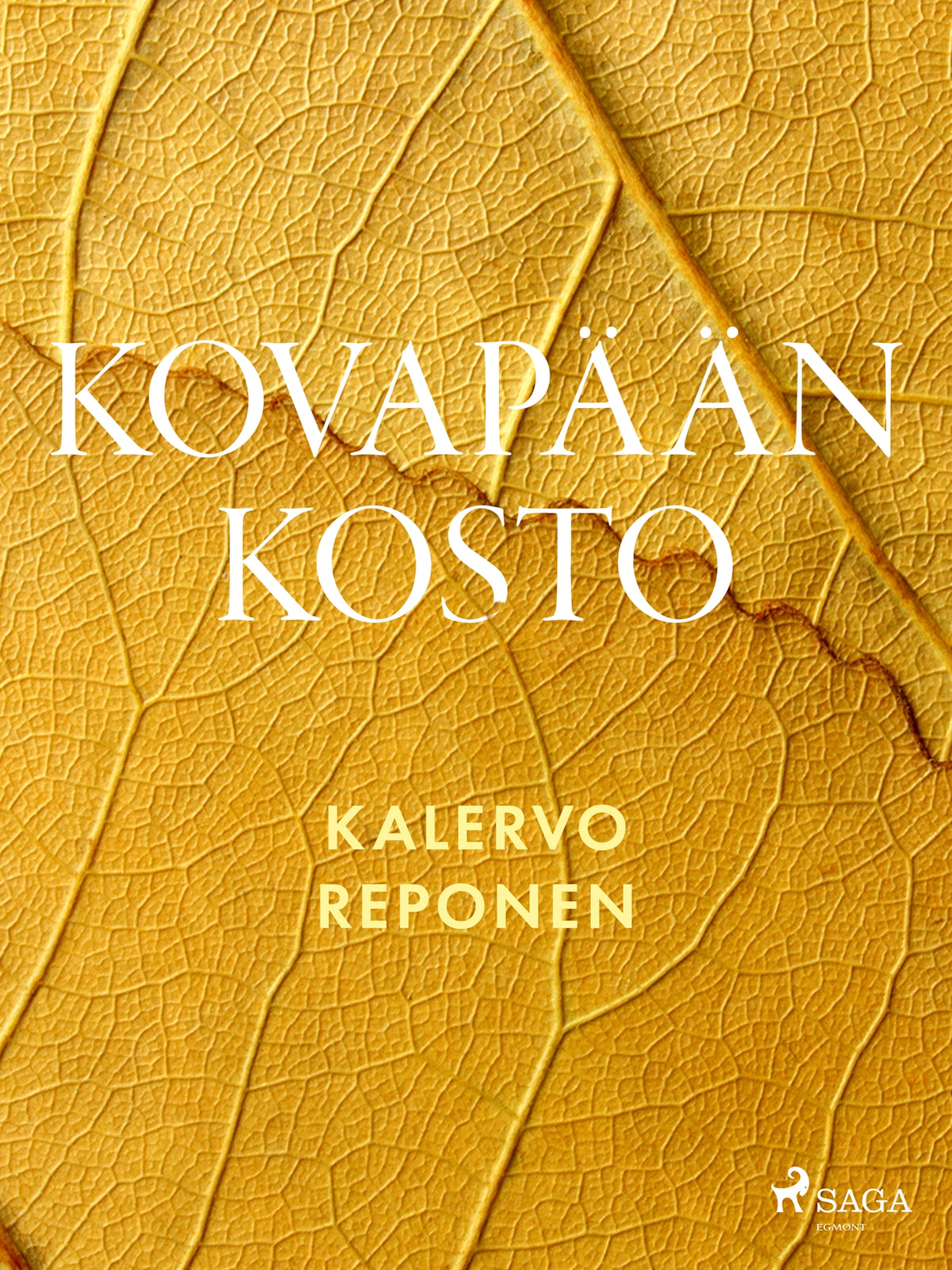 Kovapään kosto – E-bok