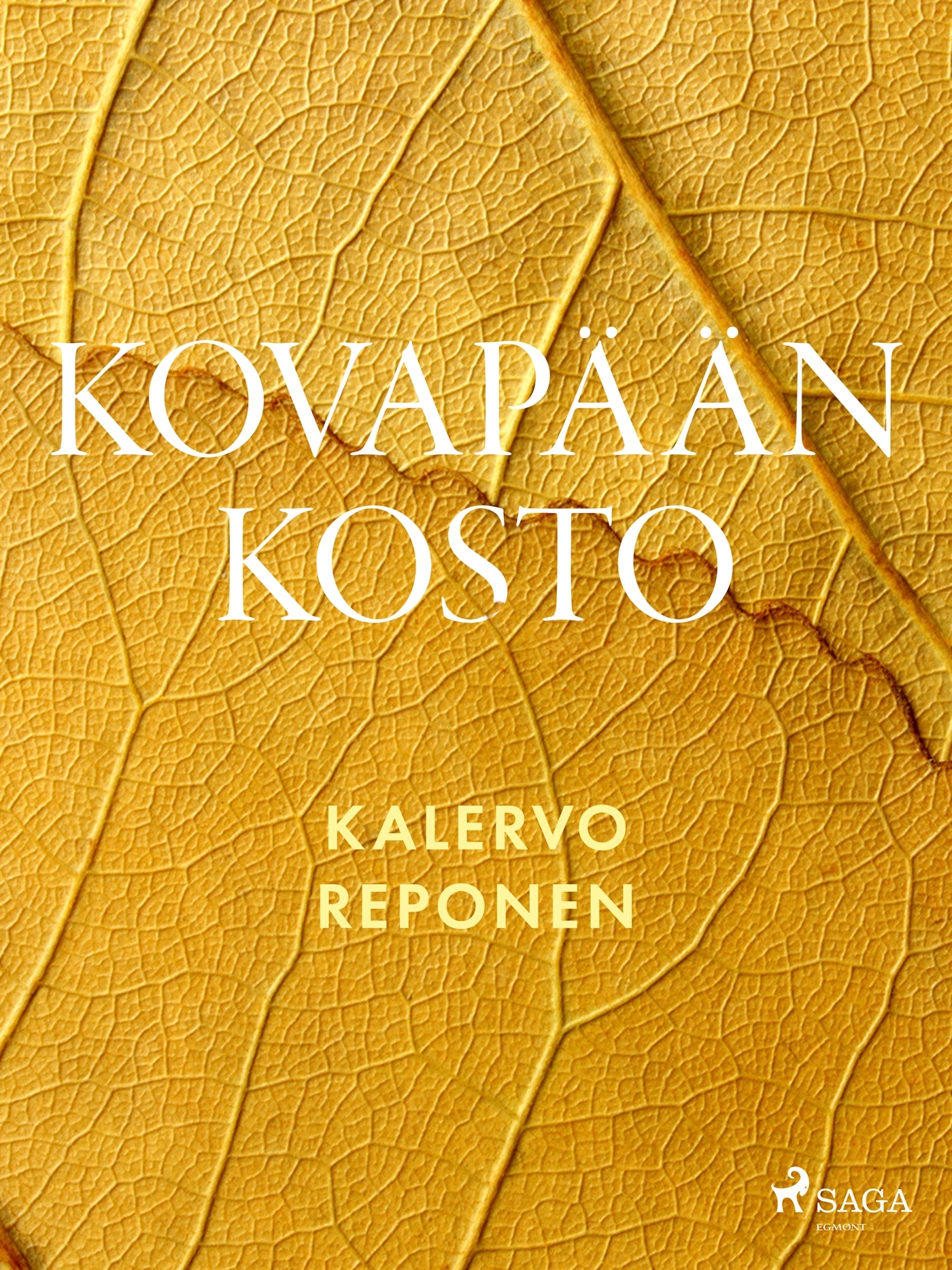 Kovapään kosto – E-bok