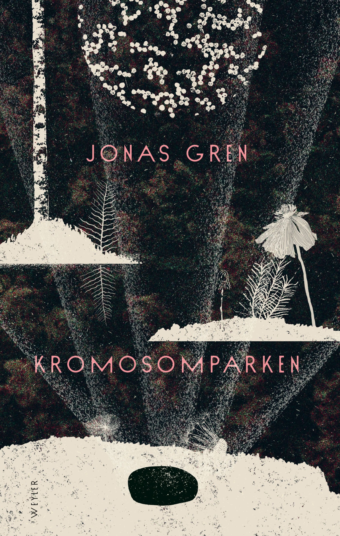 Kromosomparken – E-bok