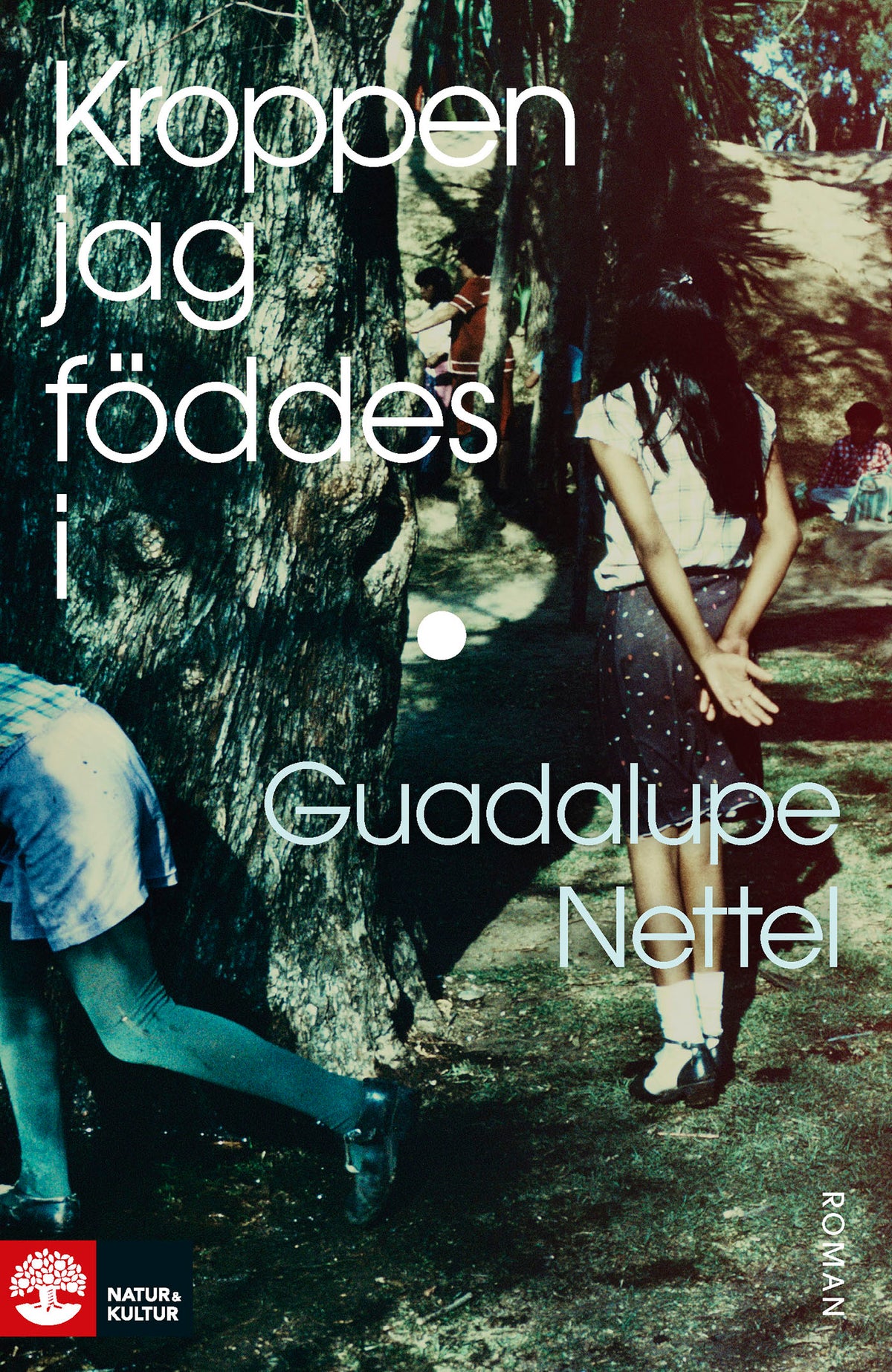 Kroppen jag föddes i – E-bok