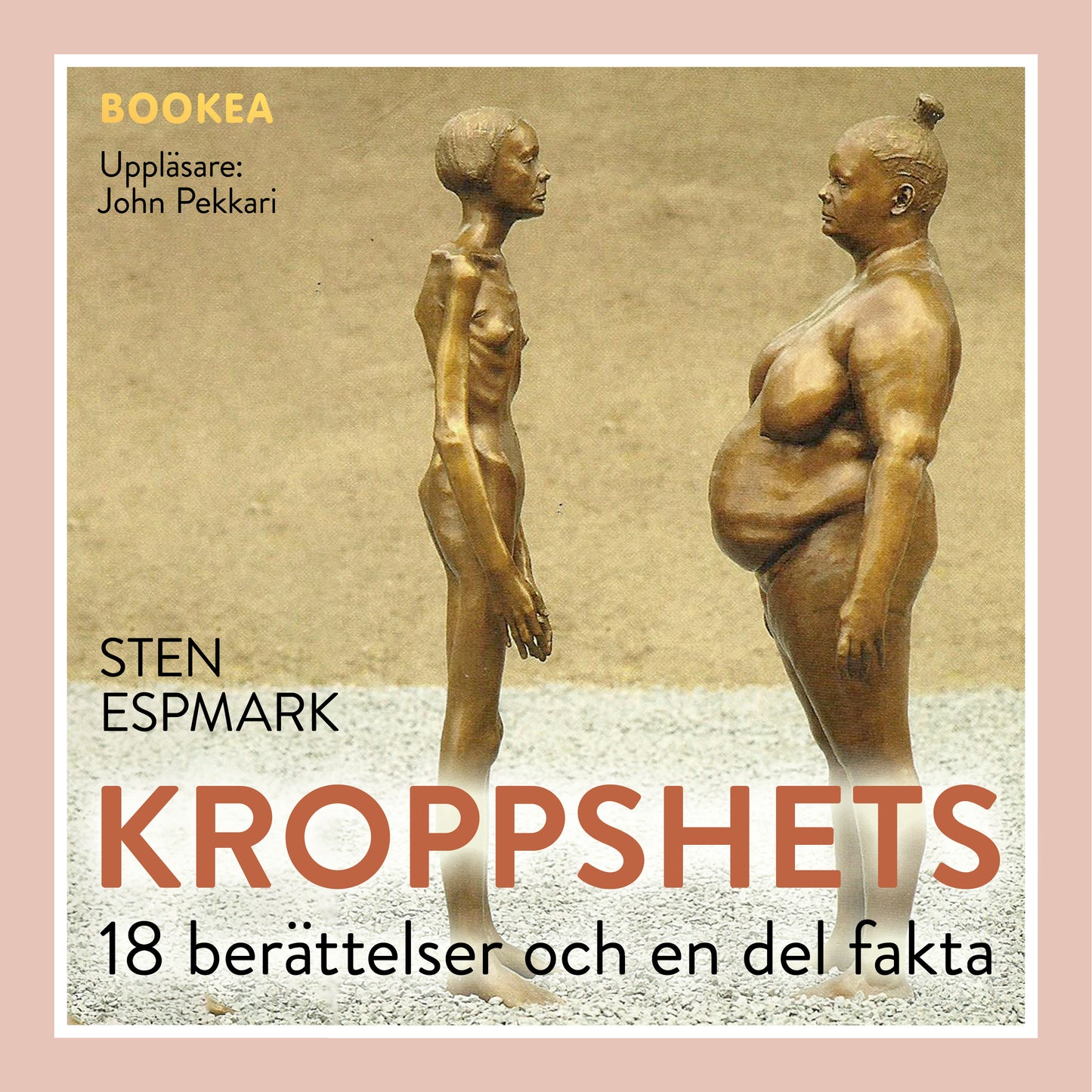 Kroppshets : 18 berättelser och en del fakta – Ljudbok
