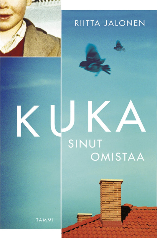 Kuka sinut omistaa – E-bok