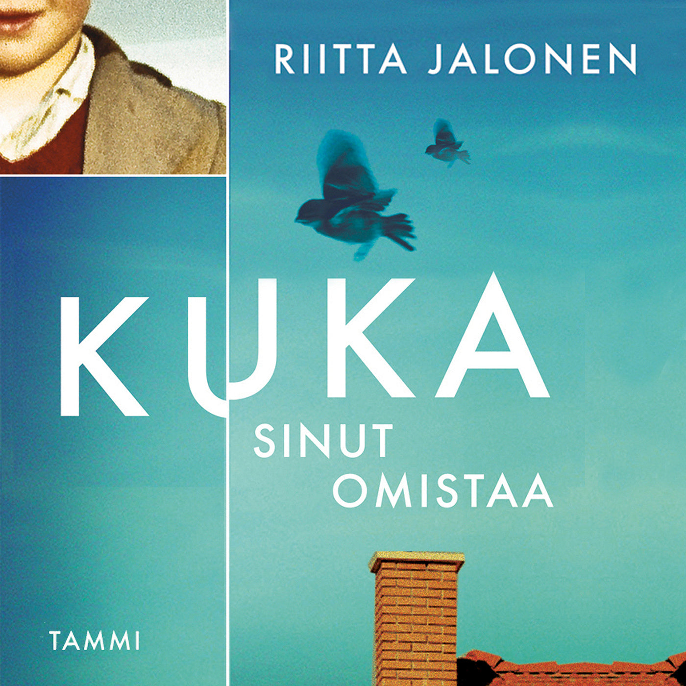 Kuka sinut omistaa – Ljudbok