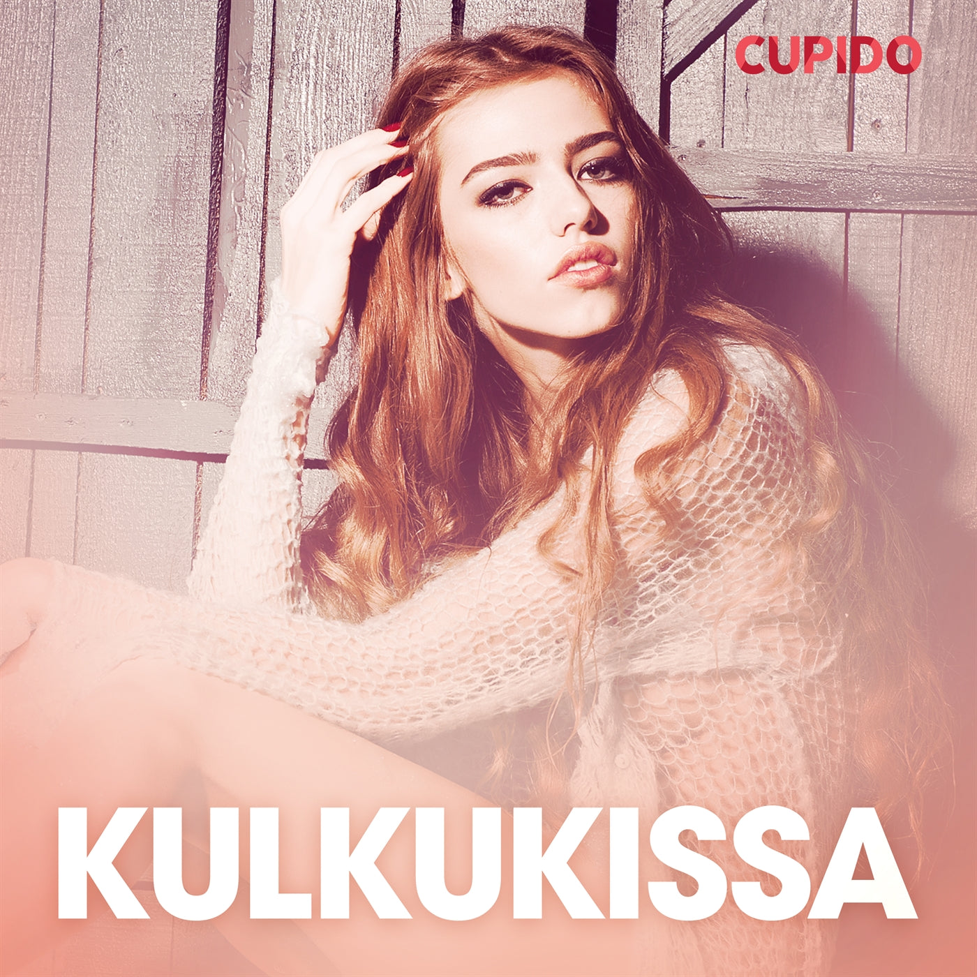 Kulkukissa – eroottinen novelli – Ljudbok
