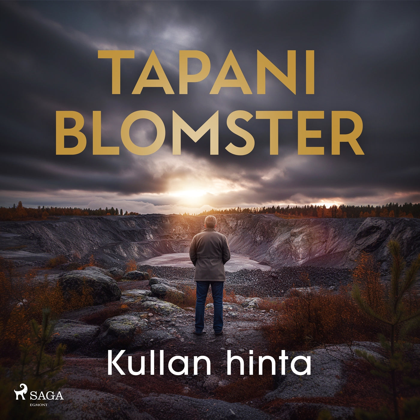 Kullan hinta – Ljudbok