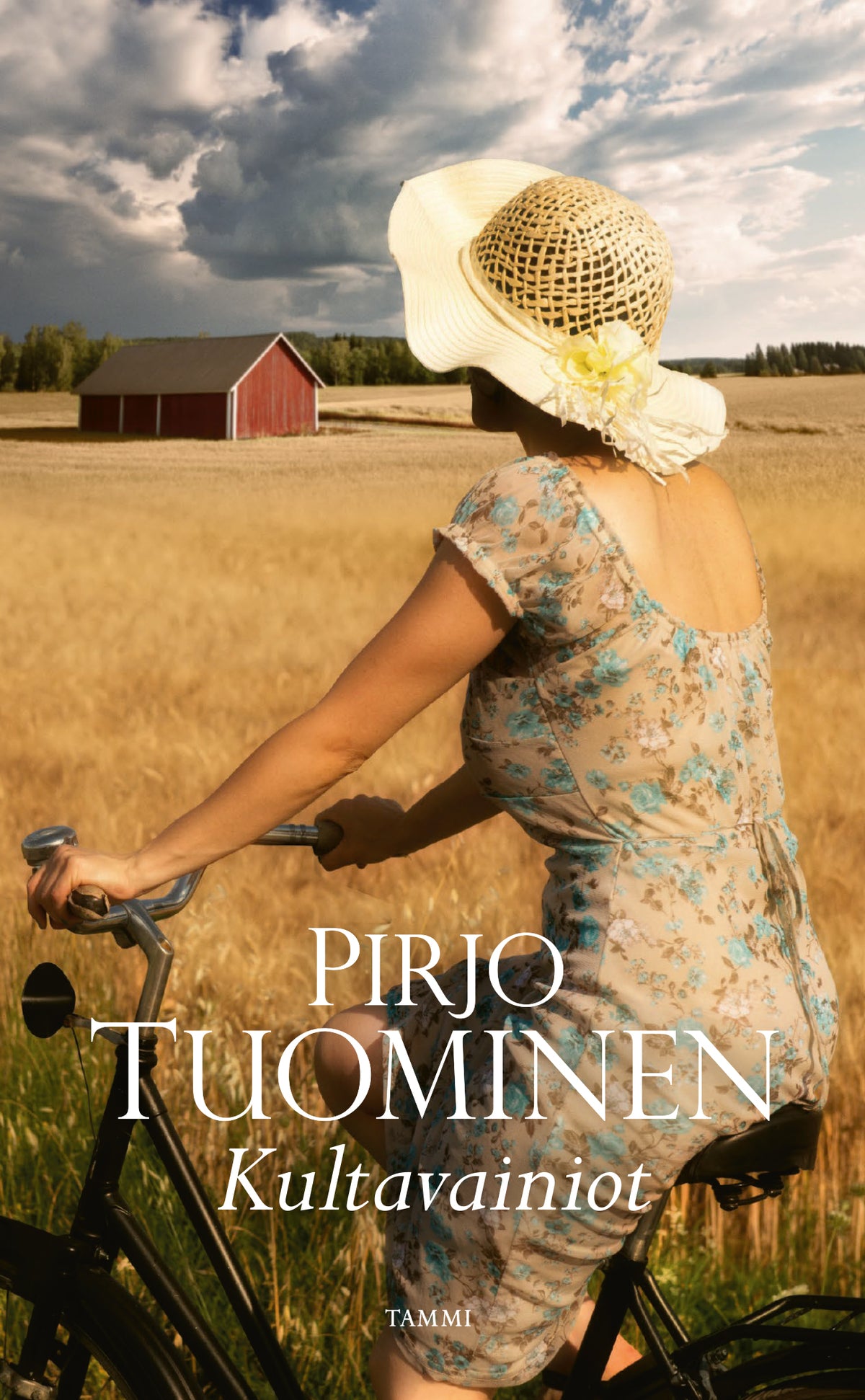 Kultavainiot – E-bok