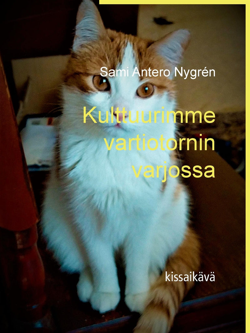 Kulttuurimme Vartiotornin Varjossa: Kissaikävä – E-bok