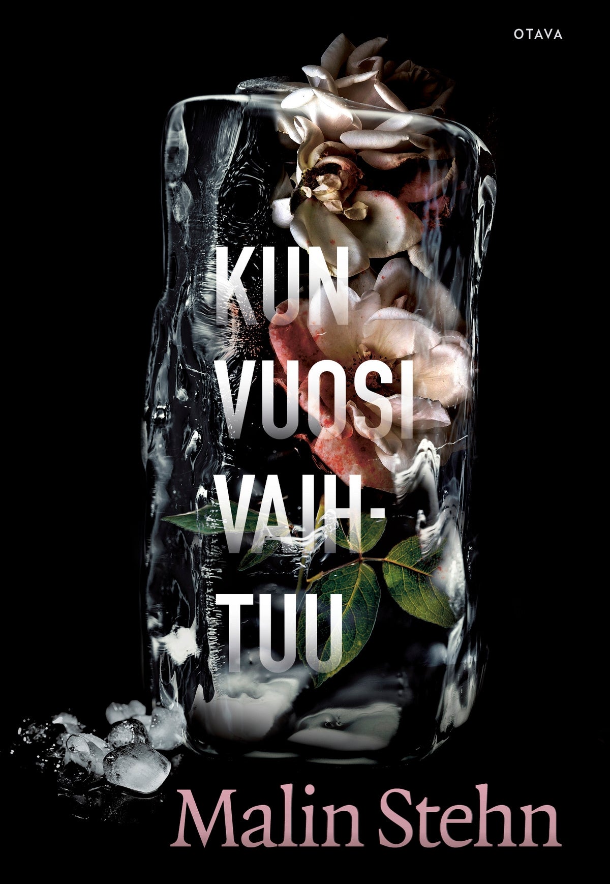 Kun vuosi vaihtuu – E-bok