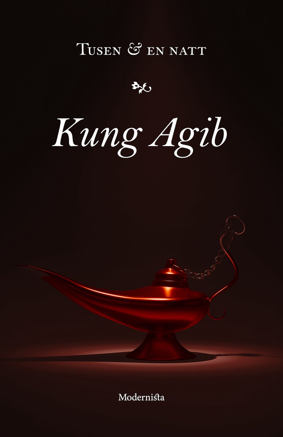 Kung Agib – E-bok