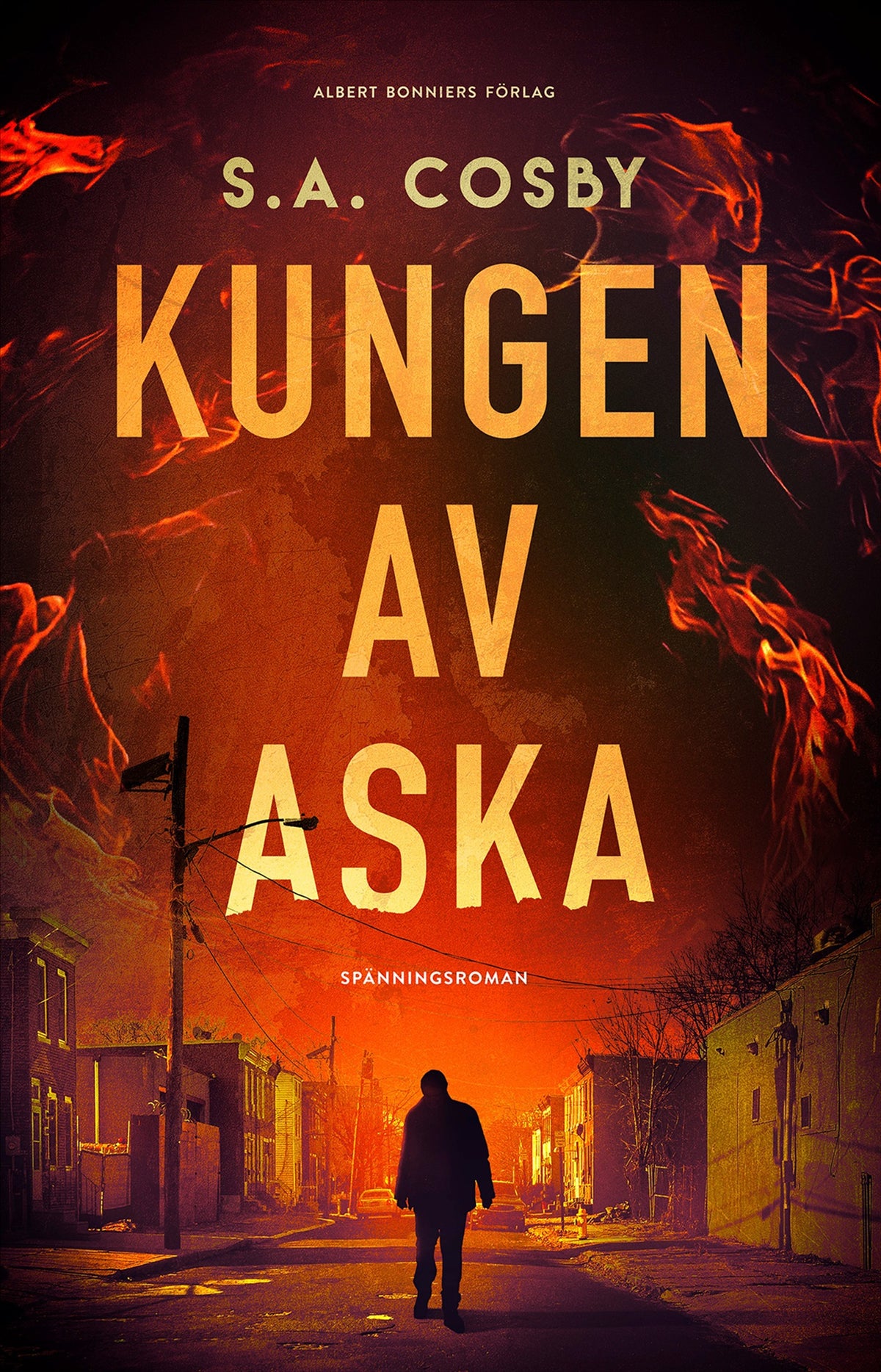 Kungen av aska – E-bok