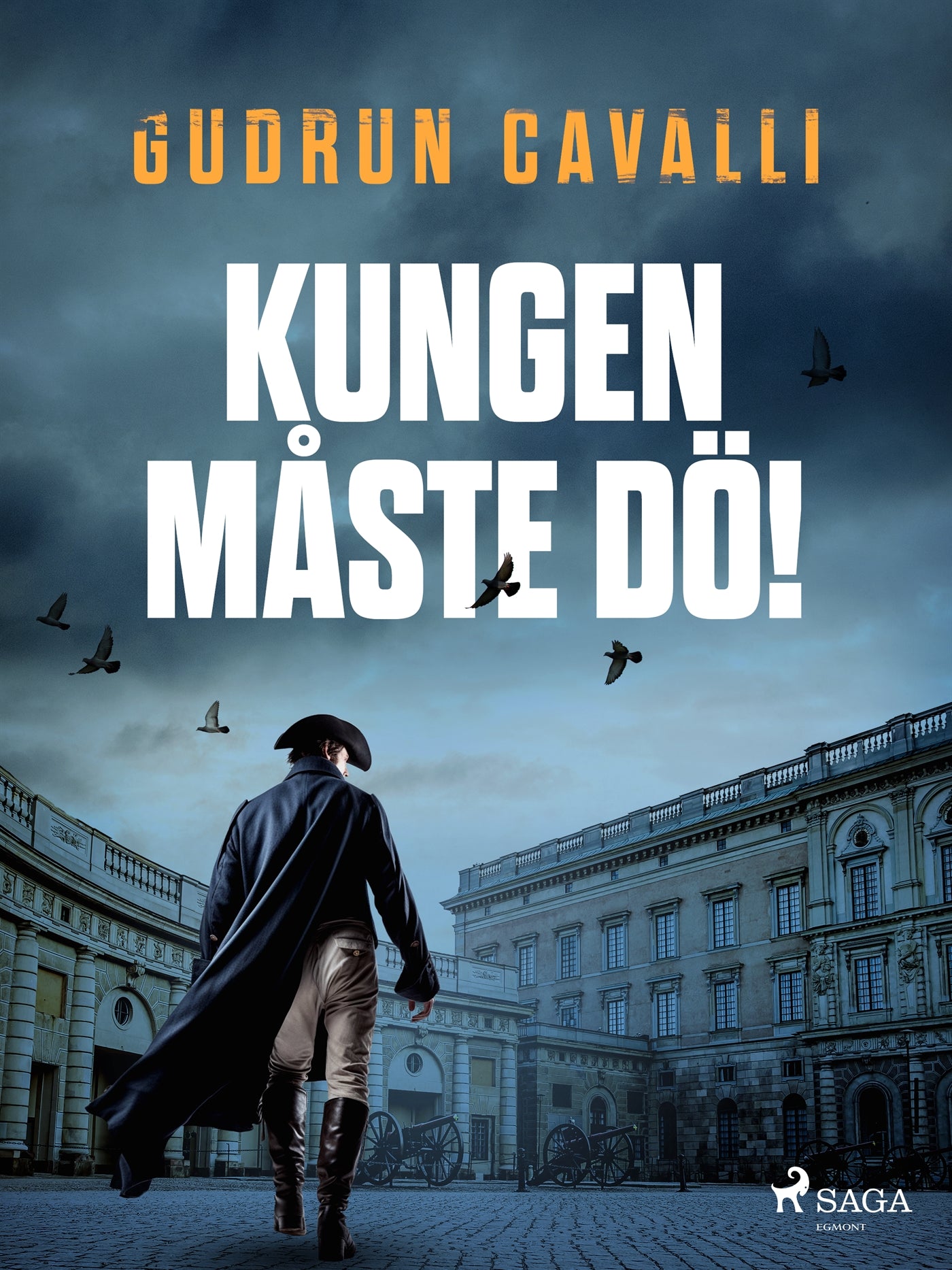 Kungen måste dö! – E-bok