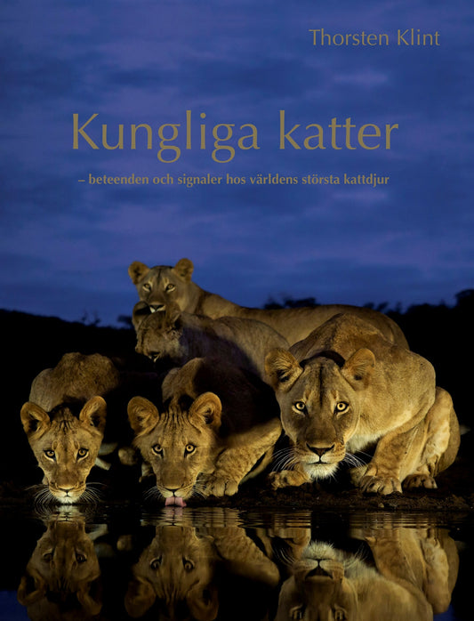 Kungliga katter : Beteenden och signaler hos världens största kattdjur – E-bok