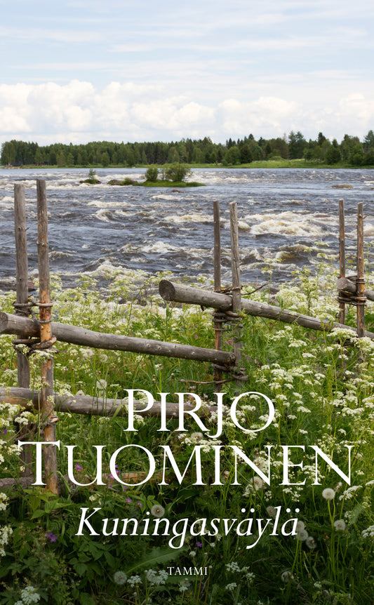 Kuningasväylä – E-bok