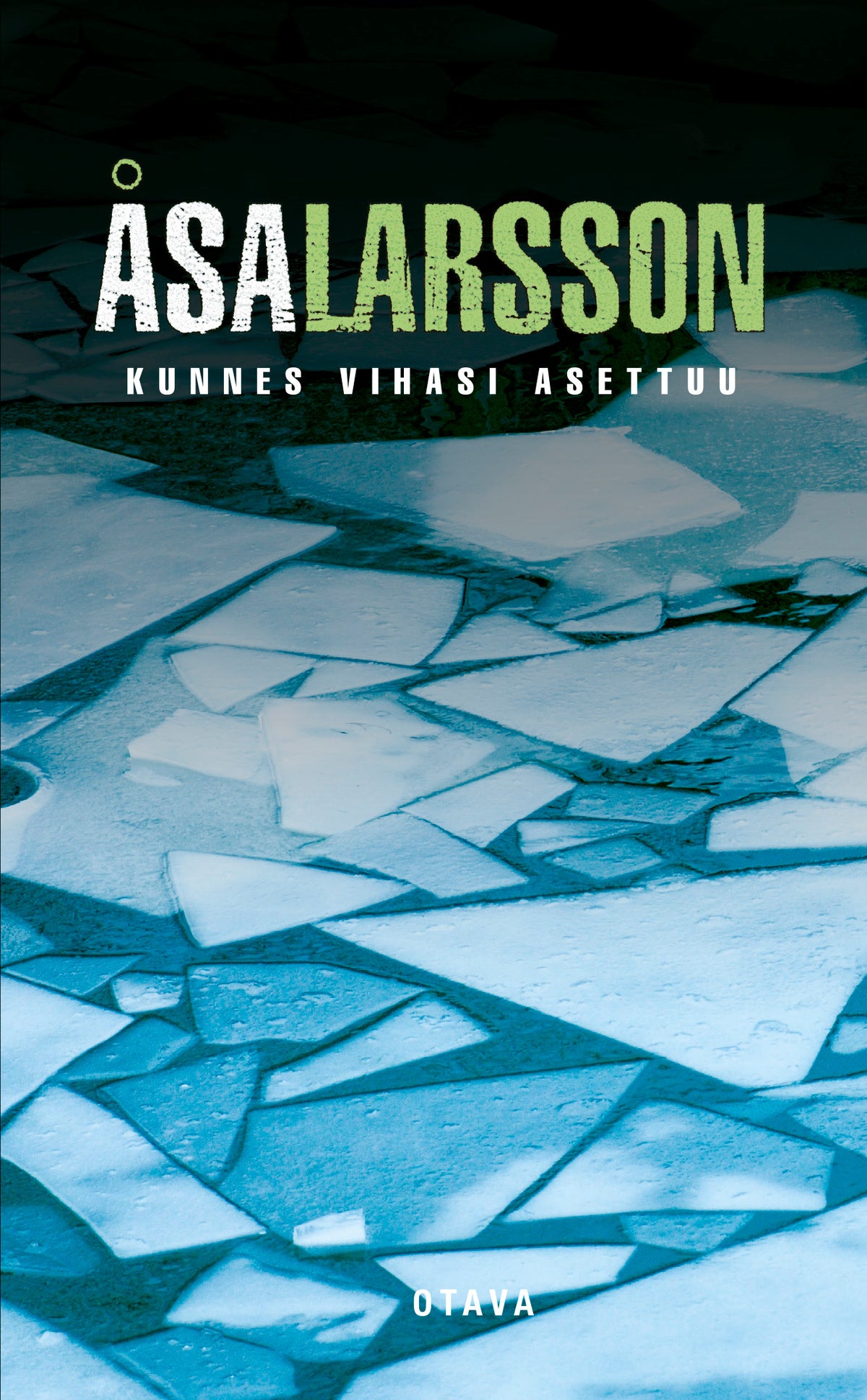 Kunnes vihasi asettuu – E-bok