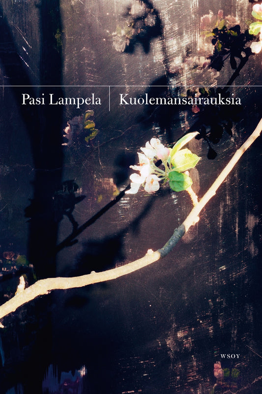 Kuolemansairauksia – E-bok