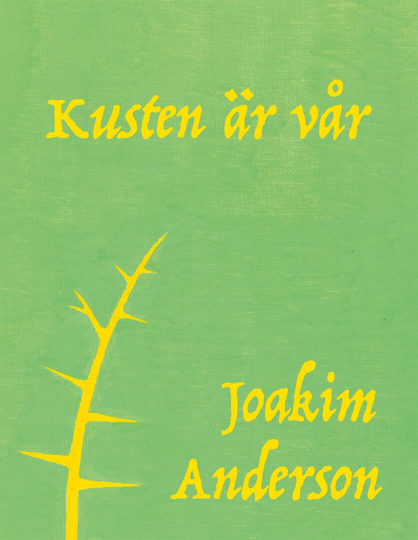 Kusten är vår – E-bok