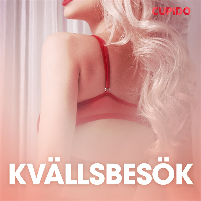 Kvällsbesök - erotiska noveller – Ljudbok