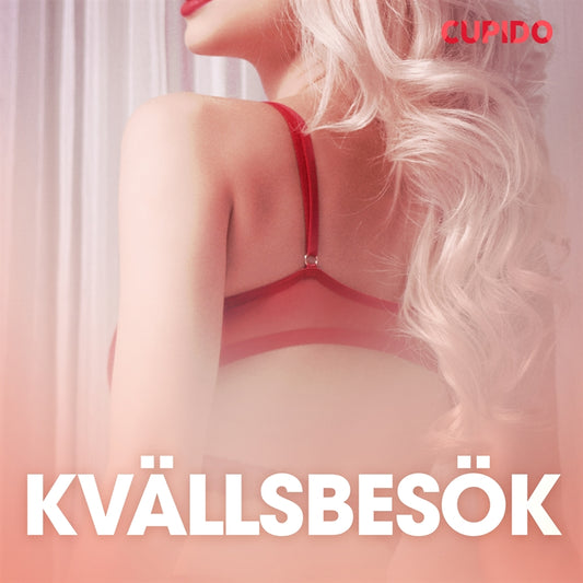 Kvällsbesök - erotiska noveller – Ljudbok