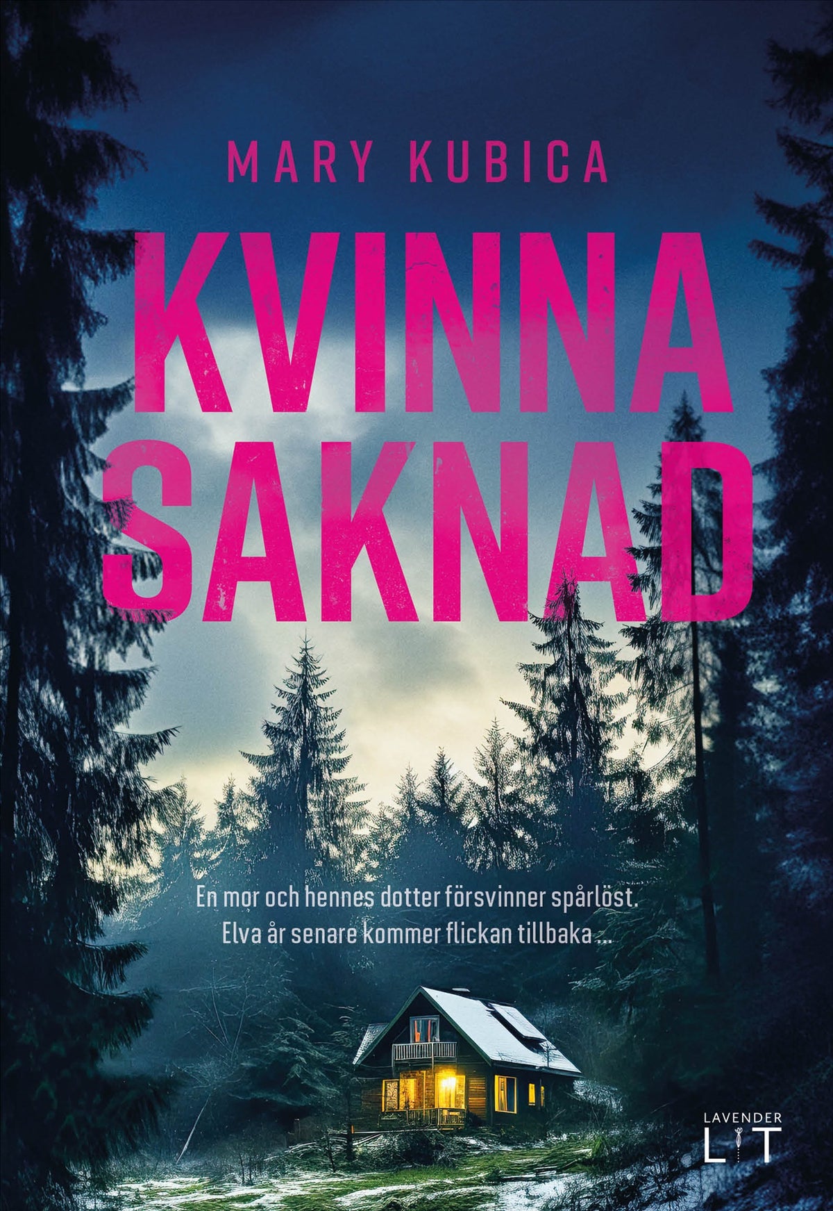 Kvinna saknad – E-bok