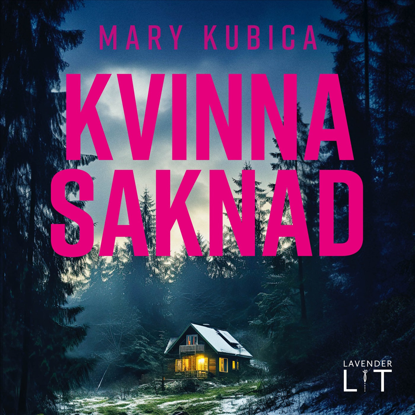 Kvinna saknad – Ljudbok