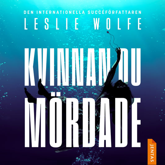Kvinnan du mördade – Ljudbok
