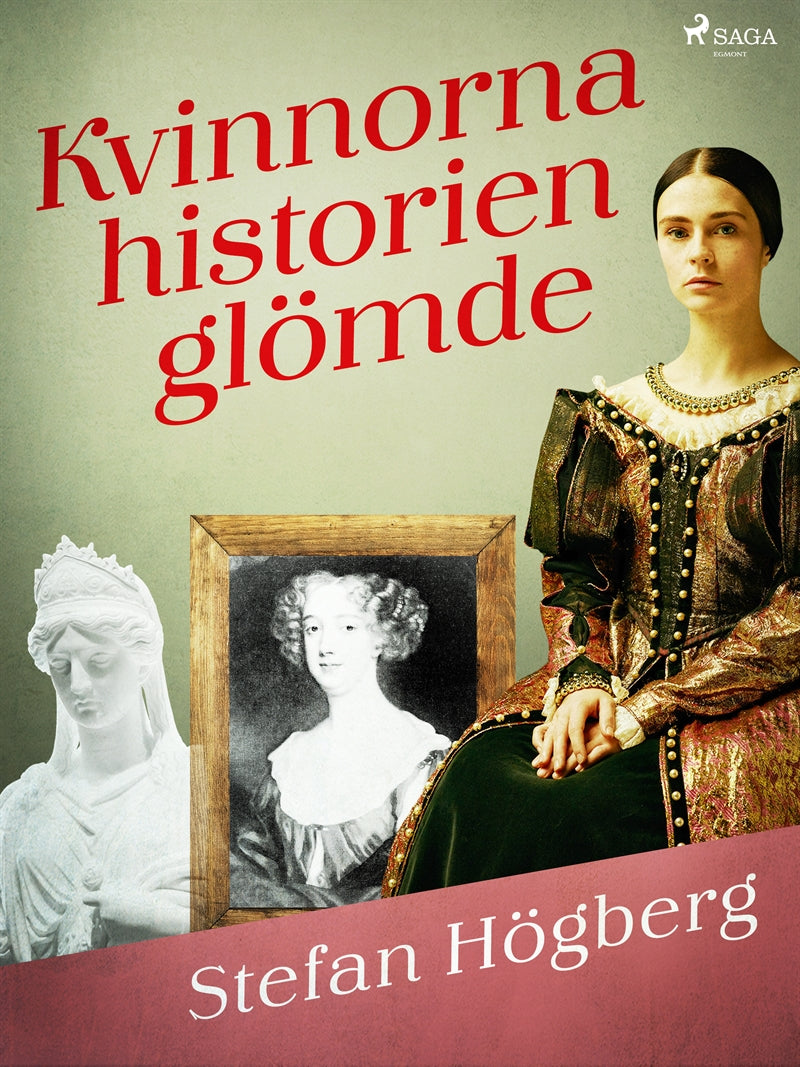 Kvinnorna historien glömde – E-bok