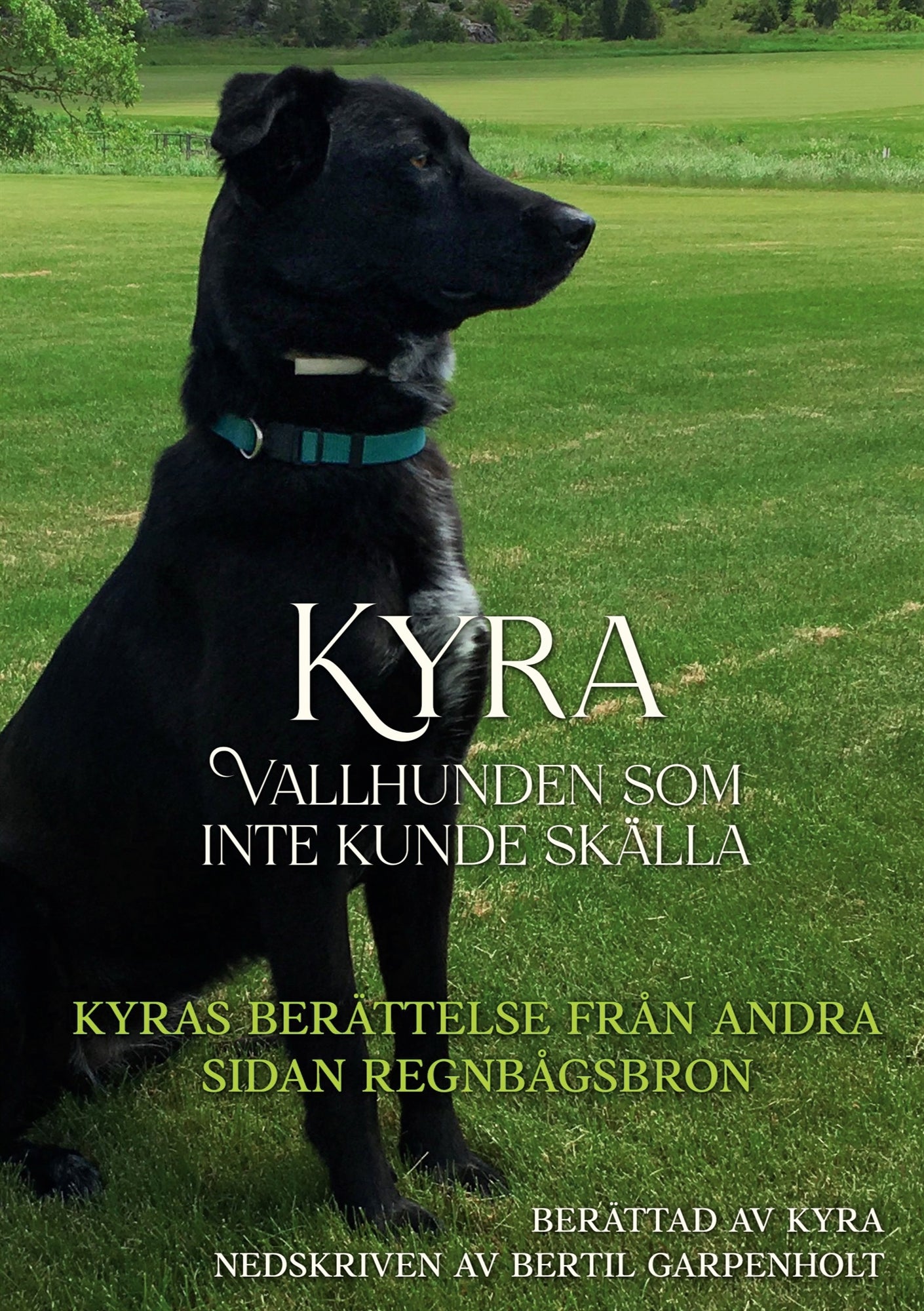 Kyra vallhunden som inte kunde skälla: Kyras berättelse från andra sidan regnbågsbron – E-bok