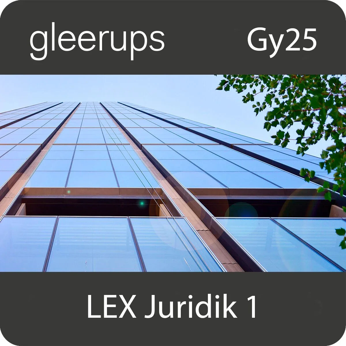 LEX Juridik 1, digitalt läromedel, elev, 6 mån, Gy25