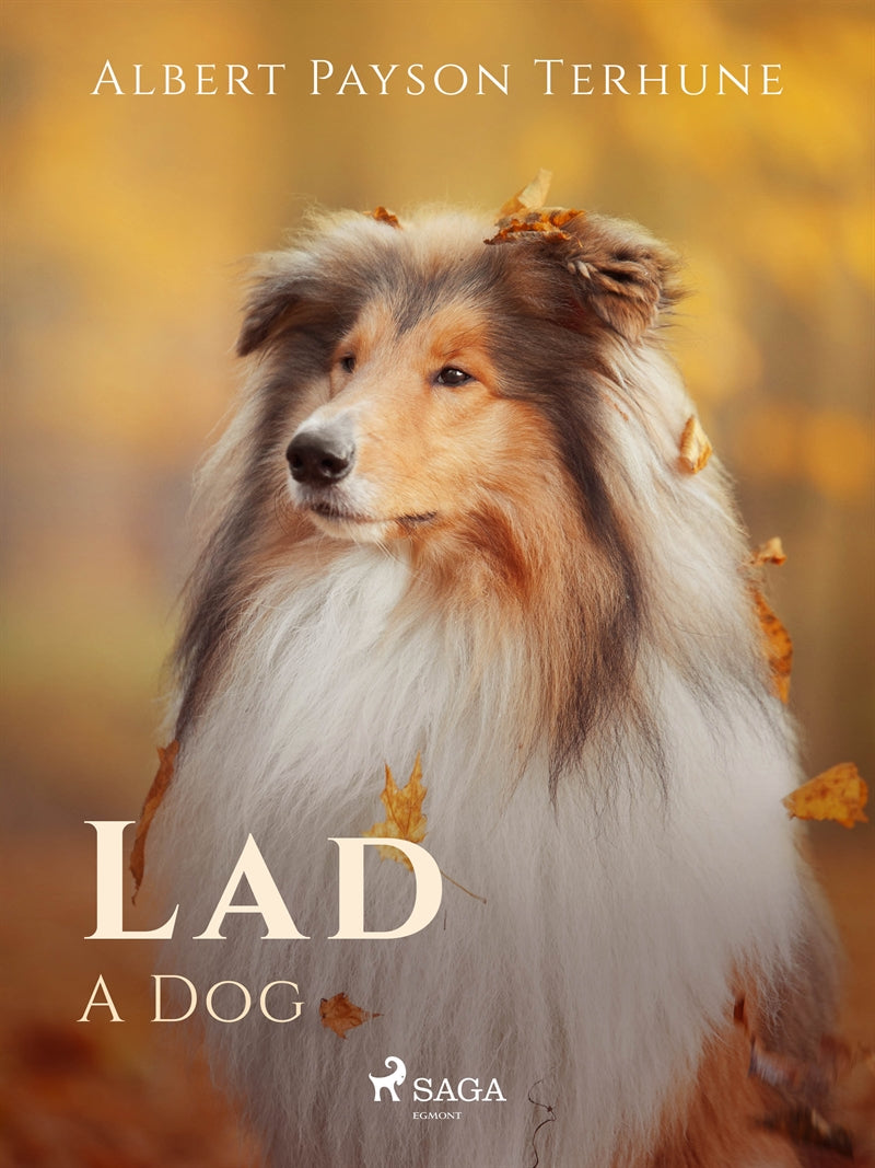 Lad: A Dog – E-bok