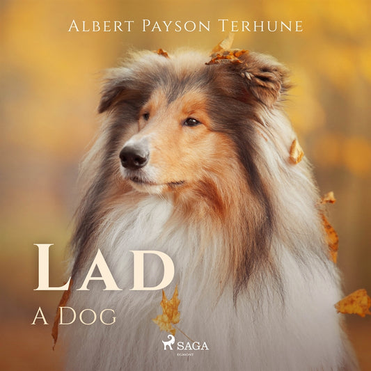 Lad: A Dog – Ljudbok
