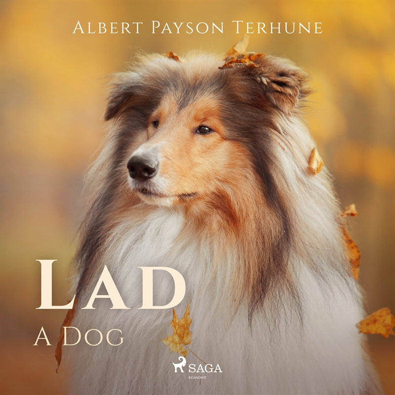 Lad: A Dog – Ljudbok