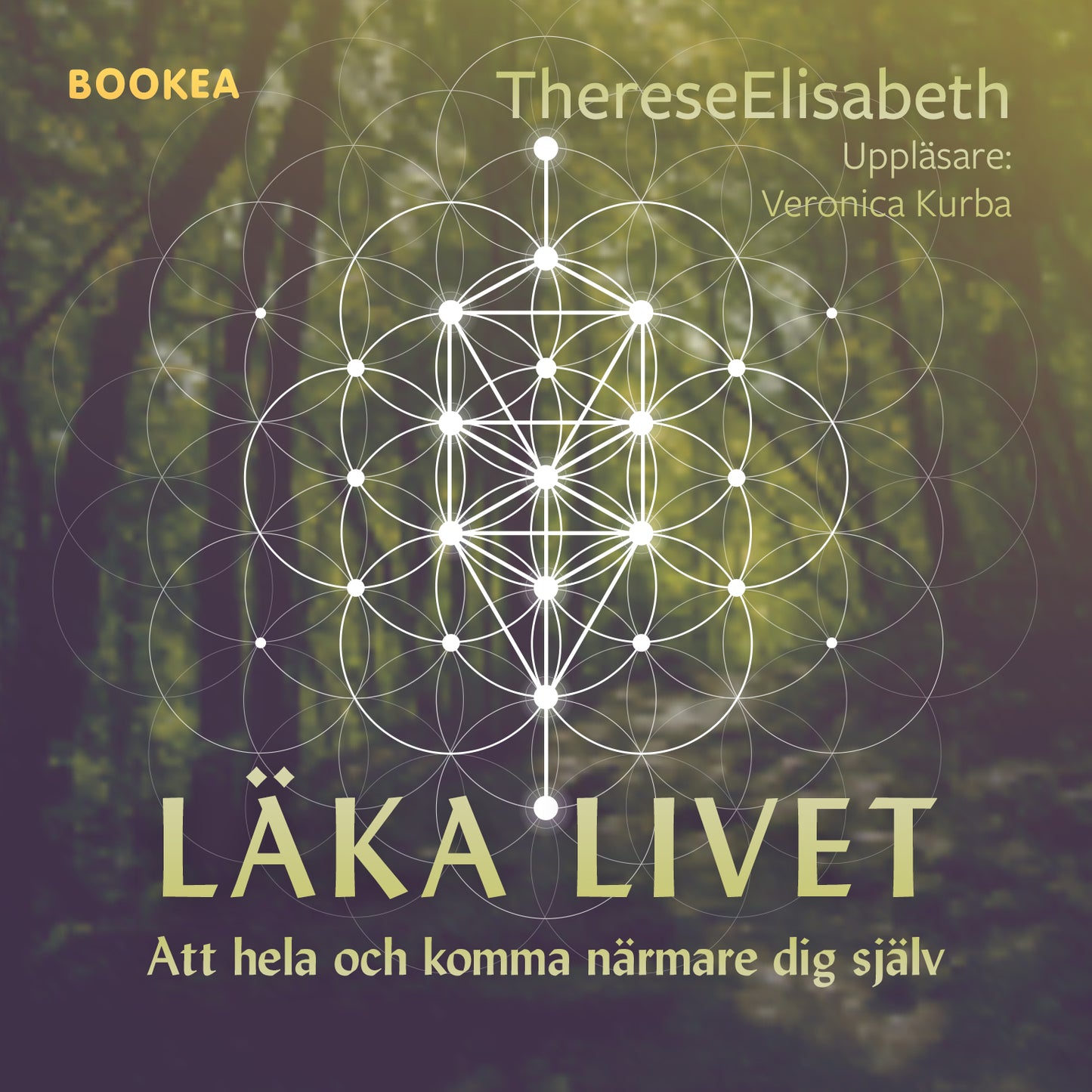 Läka livet : att hela och komma närmare dig själv – Ljudbok