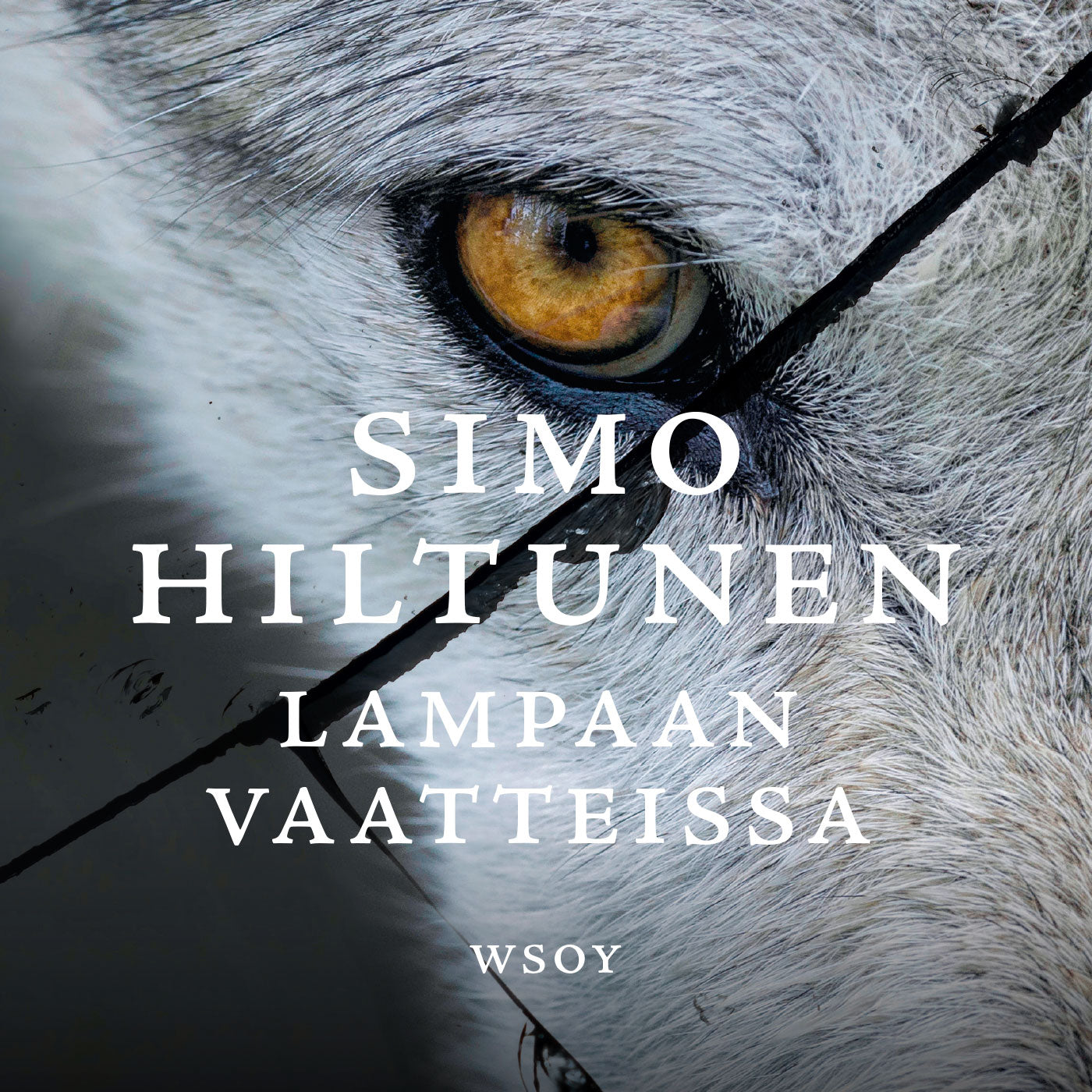 Lampaan vaatteissa – Ljudbok