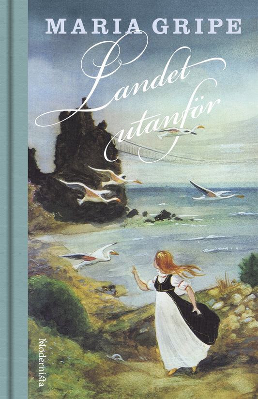 Landet utanför – E-bok