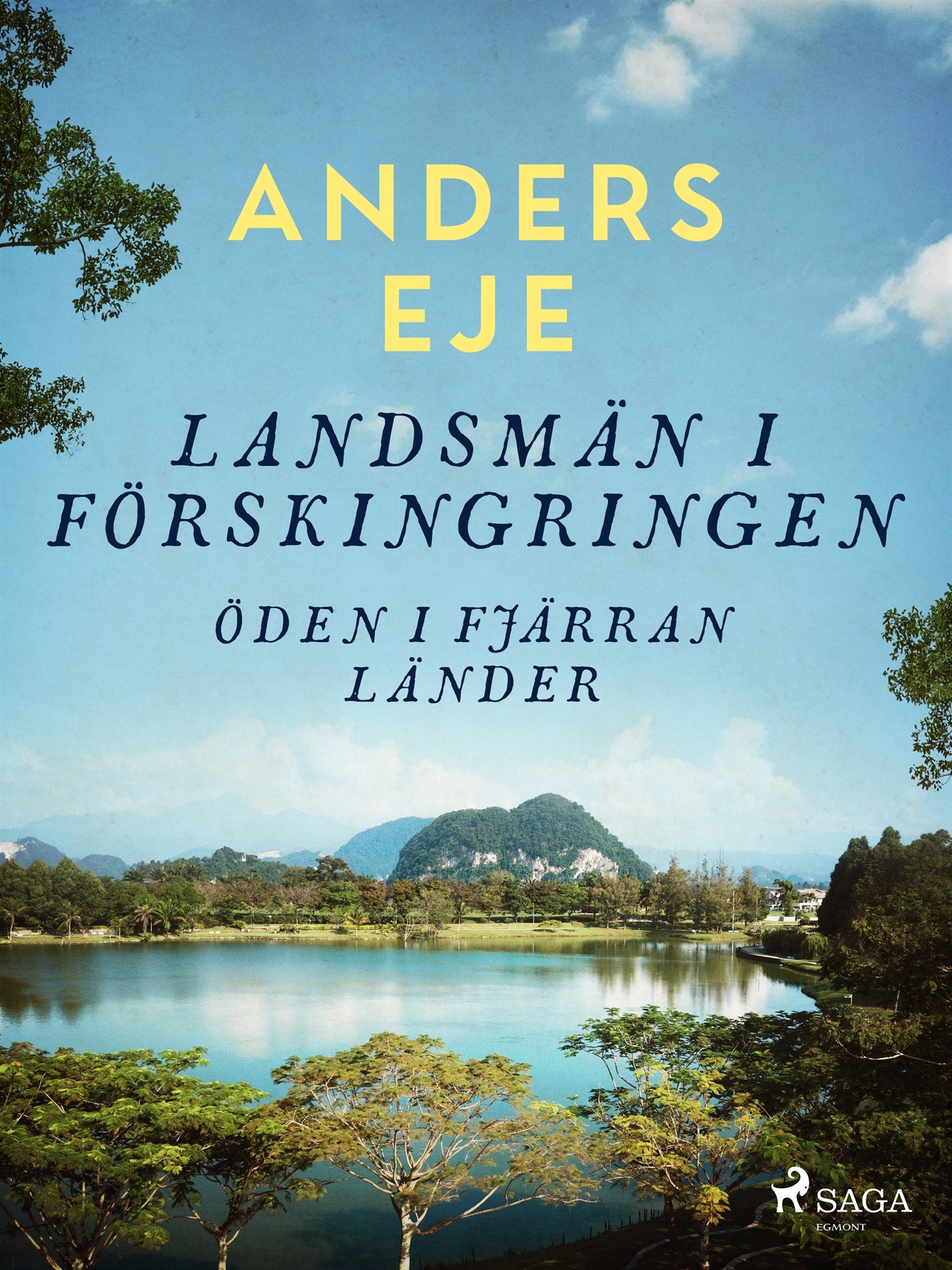 Landsmän i förskingringen : öden i fjärran länder – E-bok