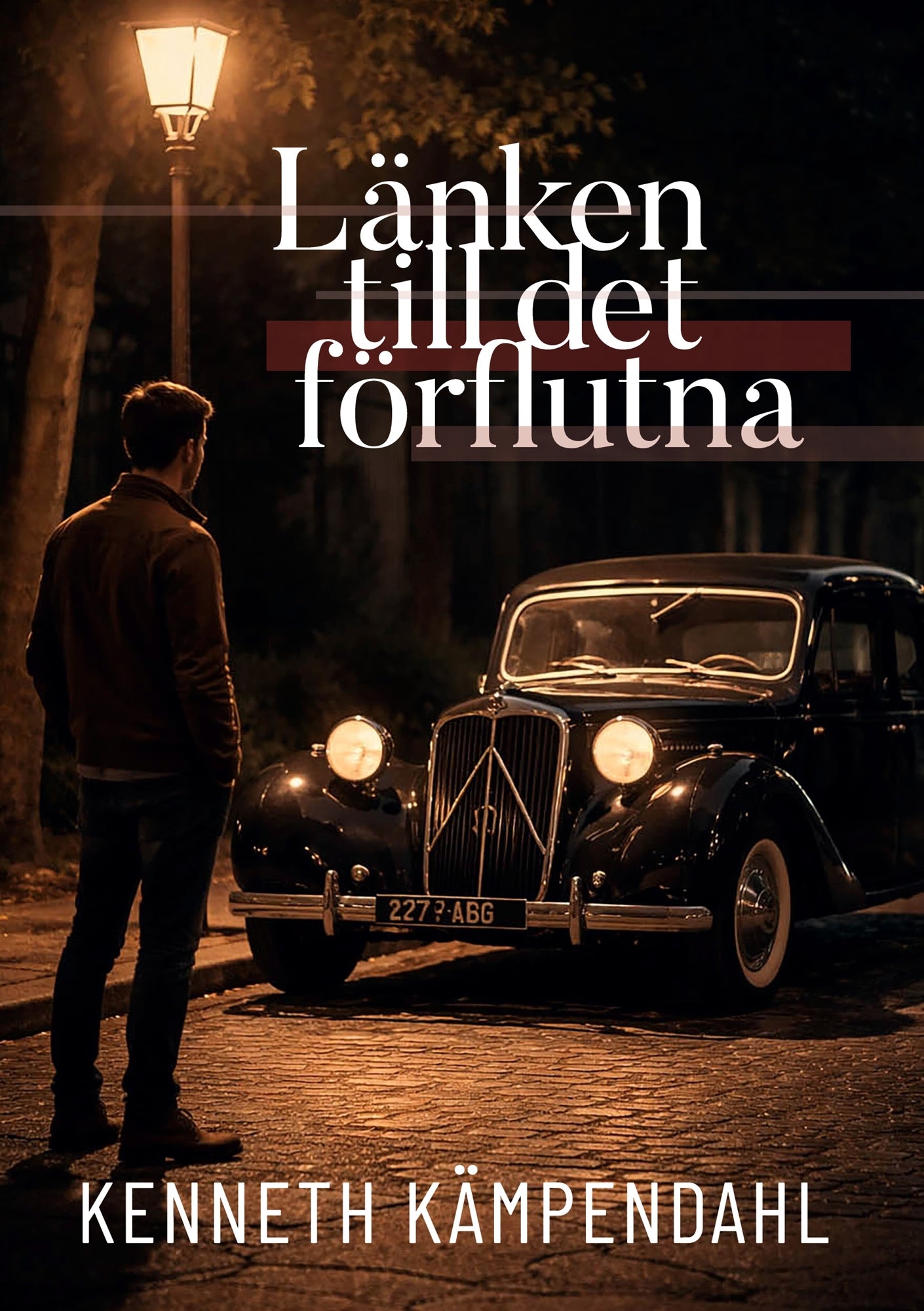 Länken till det förflutna – E-bok
