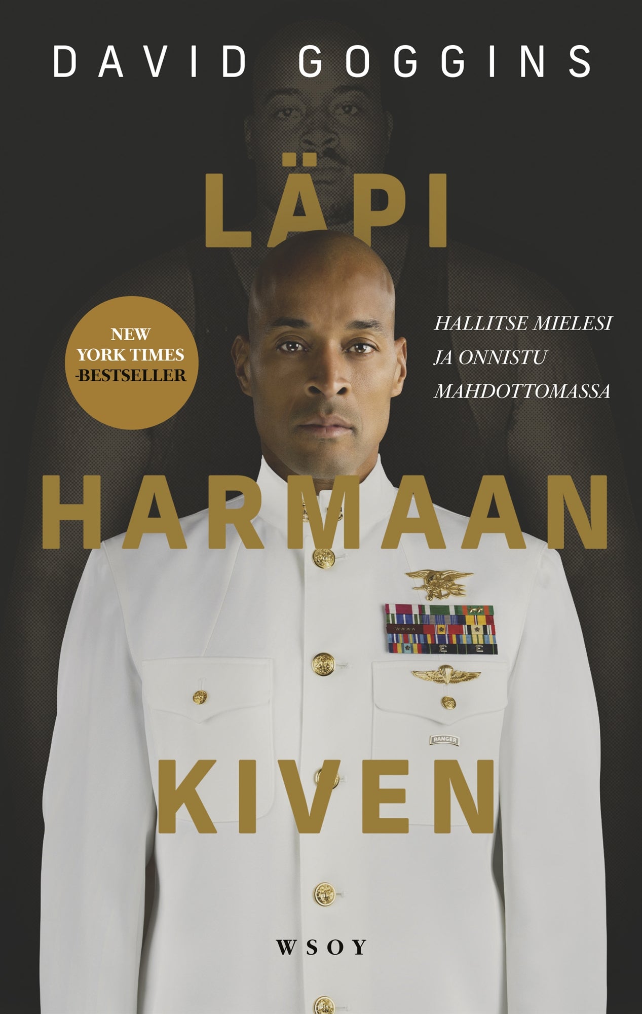 Läpi harmaan kiven – E-bok