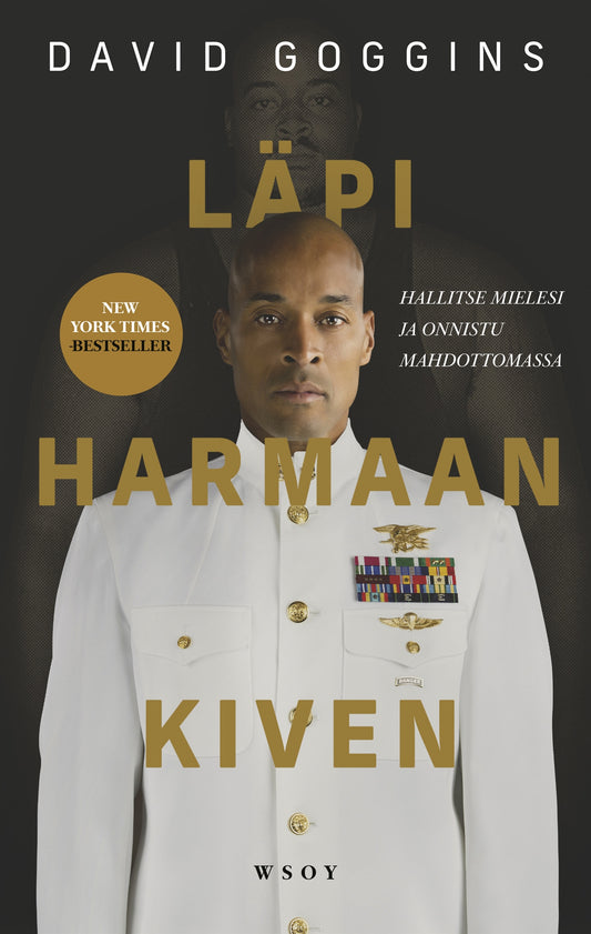 Läpi harmaan kiven – E-bok