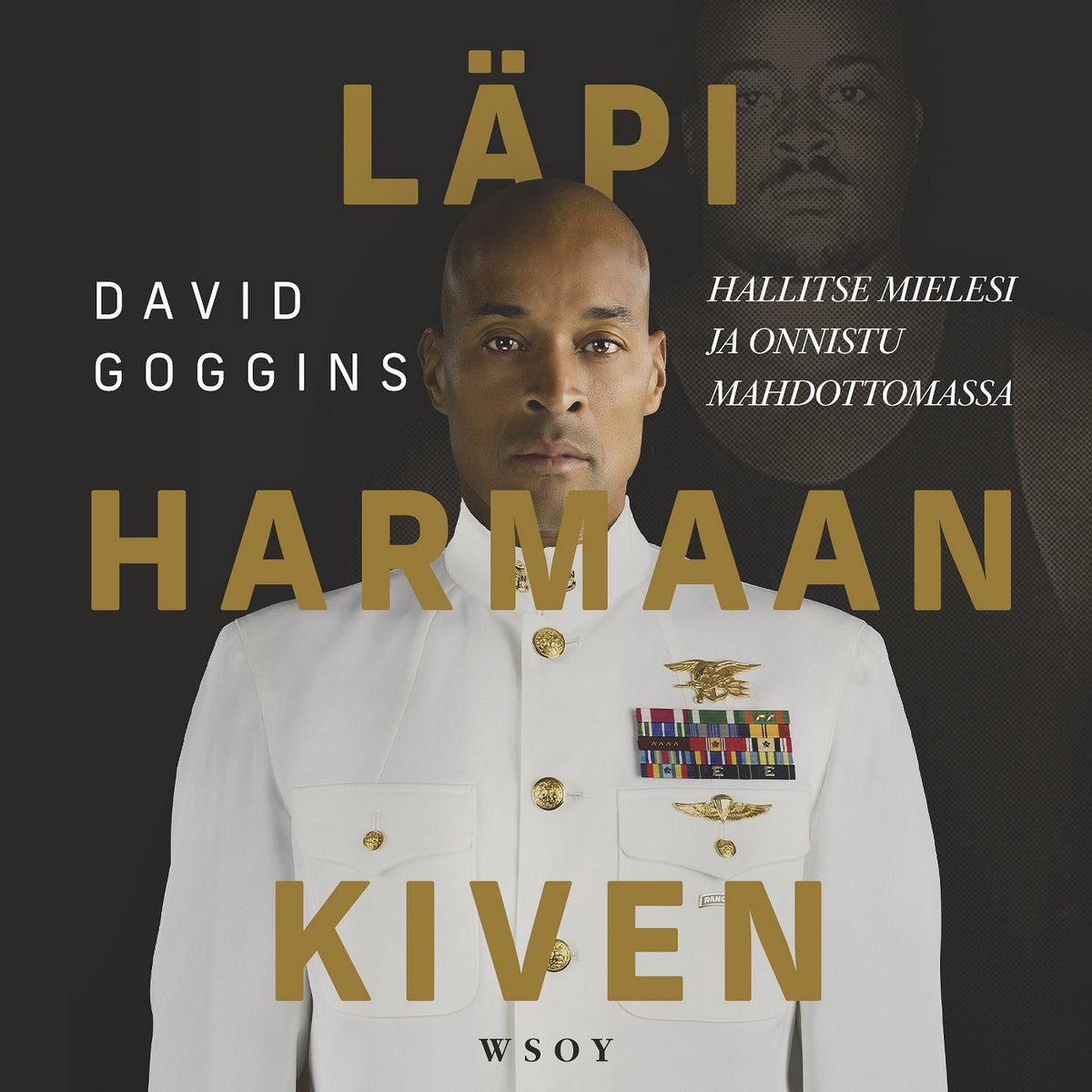 Läpi harmaan kiven – Ljudbok