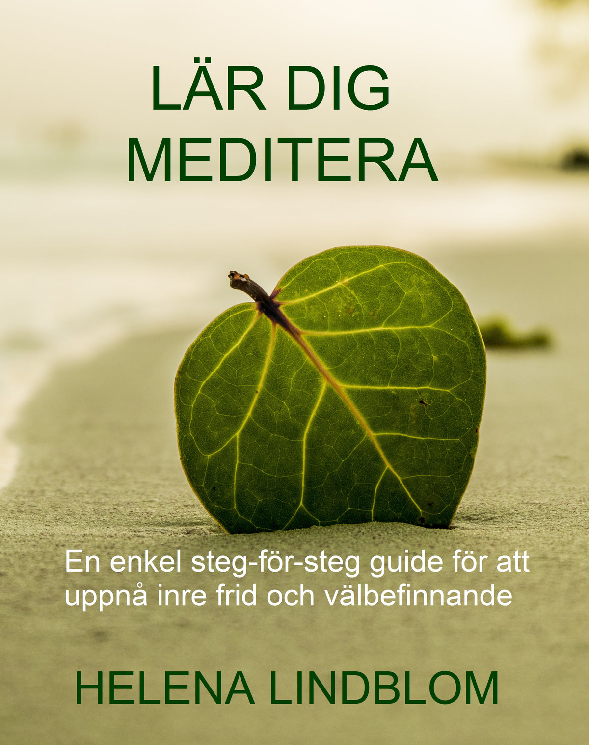 Lär dig Meditera; en enkel steg-för-steg guide för att uppnå inre frid och välbefinnande – Ljudbok