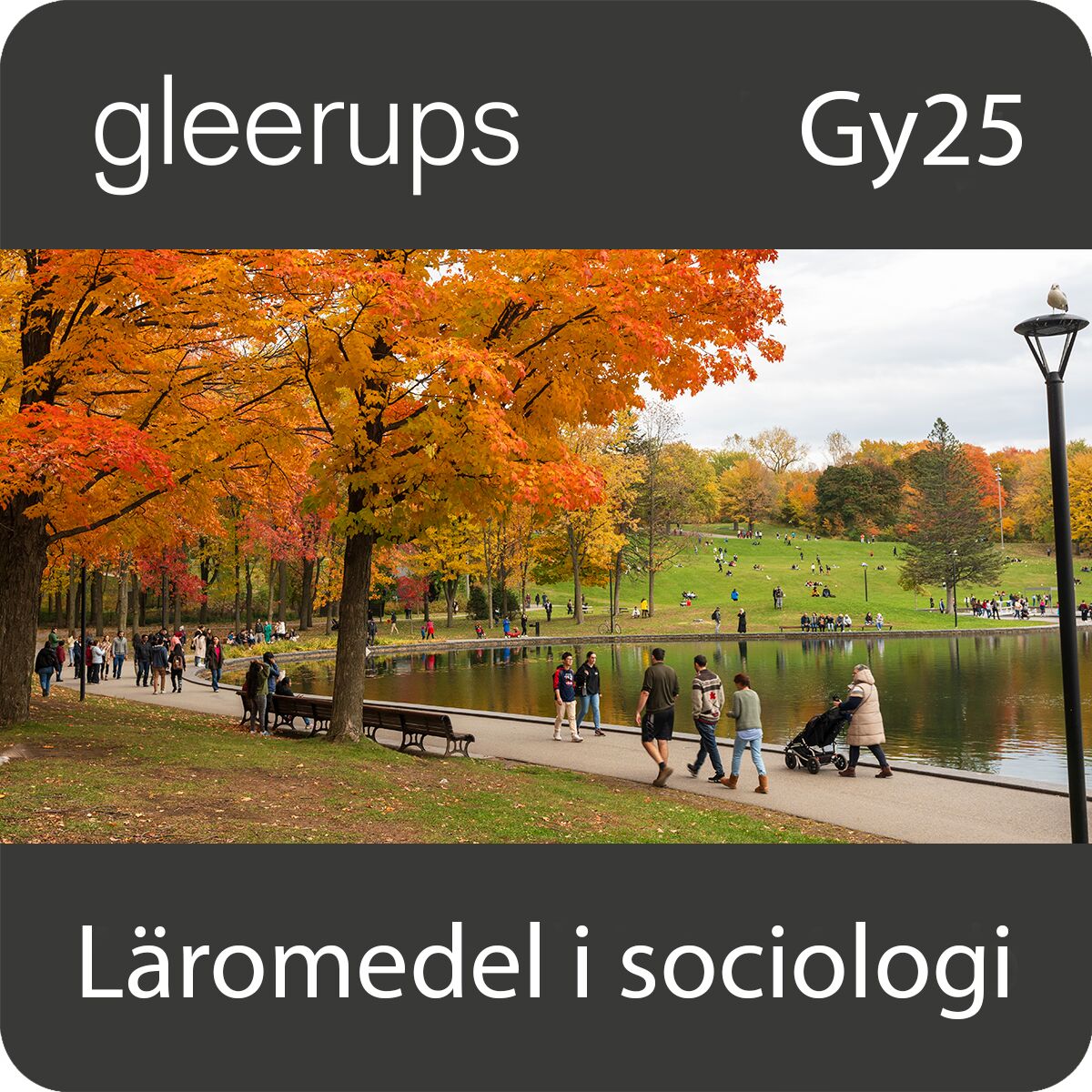 Läromedel i sociologi, digitalt, lärare, 12 mån, Gy25 (OBS! Endast för lärare)
