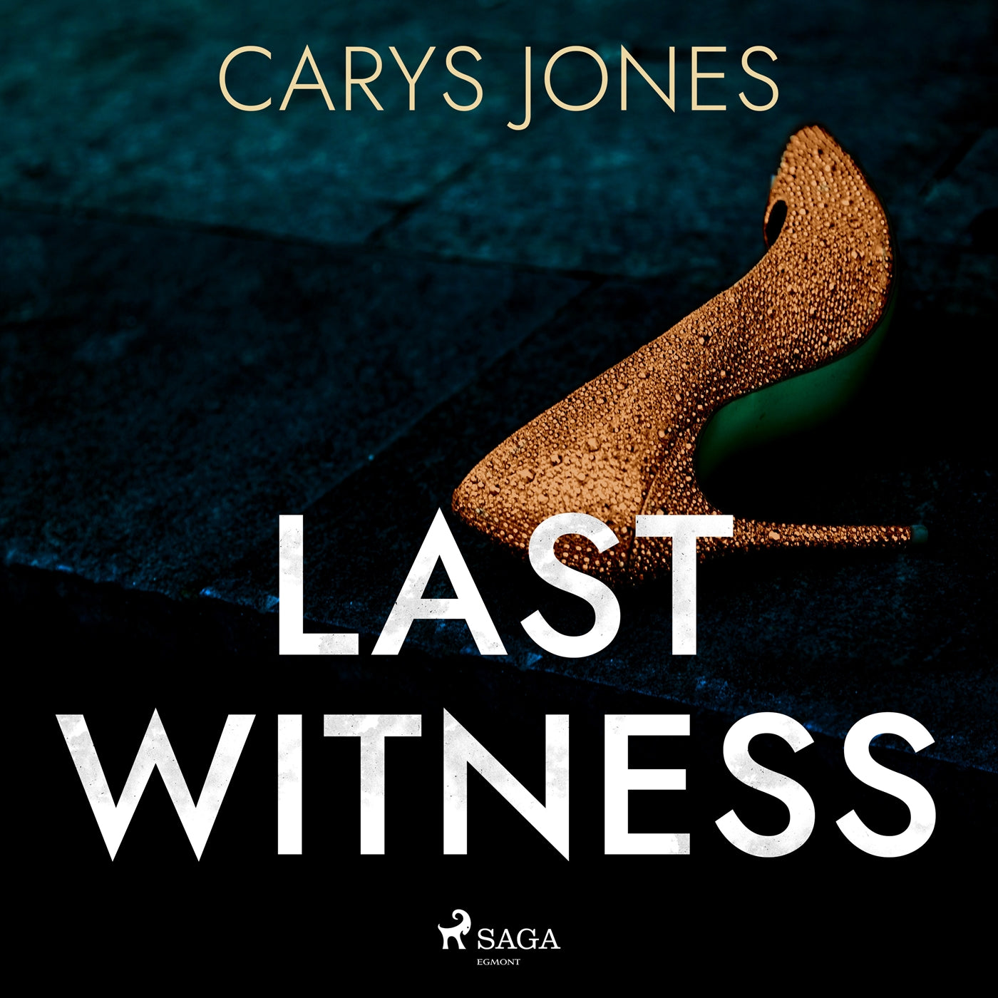 Last Witness – Ljudbok