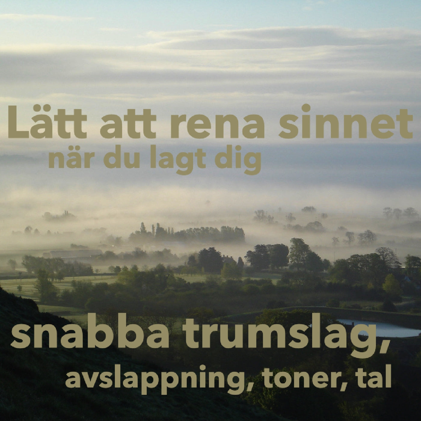 Lätt att rena sinnet när du lagt dig - snabba trumslag, avslappning, toner, tal – Ljudbok